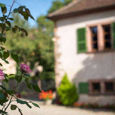 Gite **** Le Meyerhof Rorschwihr Eksteriør bilde